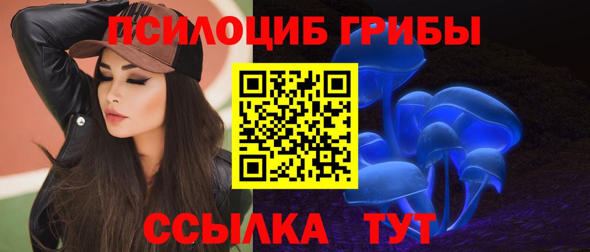 Карасук  Псилоцибиновые грибы GOLDEN TEACHER  Вход с VPN  купить наркотики сайты  Псилоцибиновые грибы MAGIC MUSHROOMS 